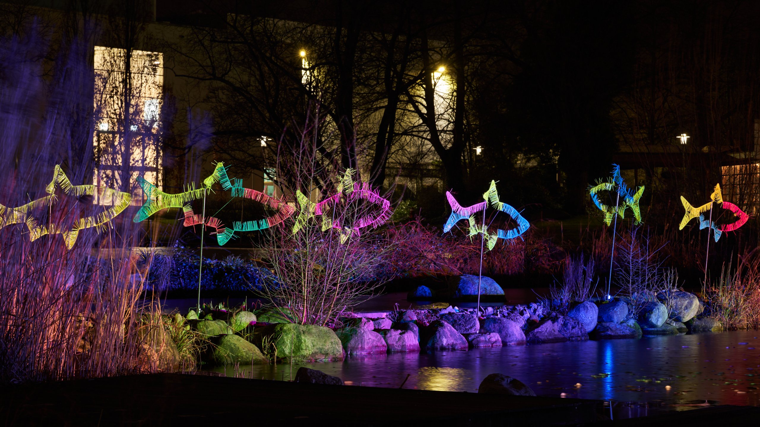 2023 01 23 Parkleuchten 0055